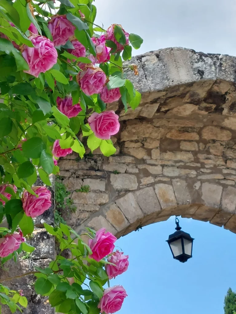 arche fleur Bruniquel