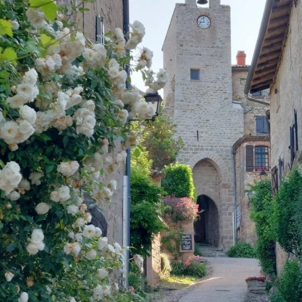 rue de bruniquel